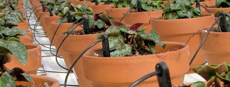 Sistema irrigazione capillare